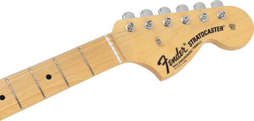 Limited Stratocaster Pink Paisley6